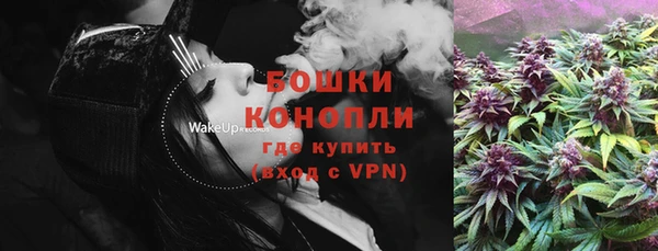 МДПВ Семилуки